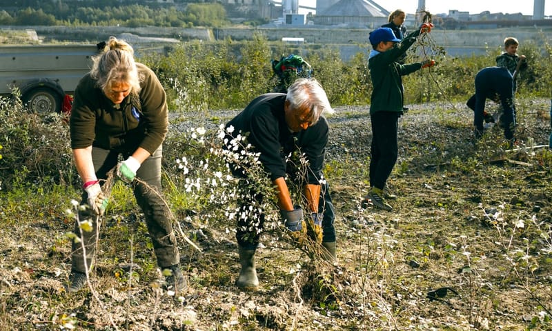 natuurwerkdag ENCI-groeve