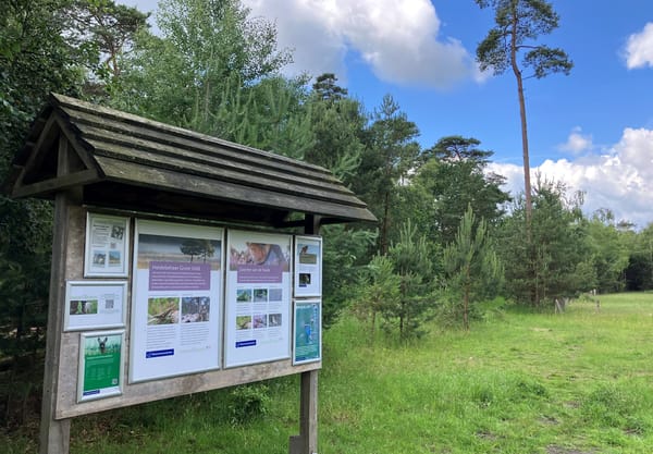 Infobord bij schaapskooi grote veld 2026