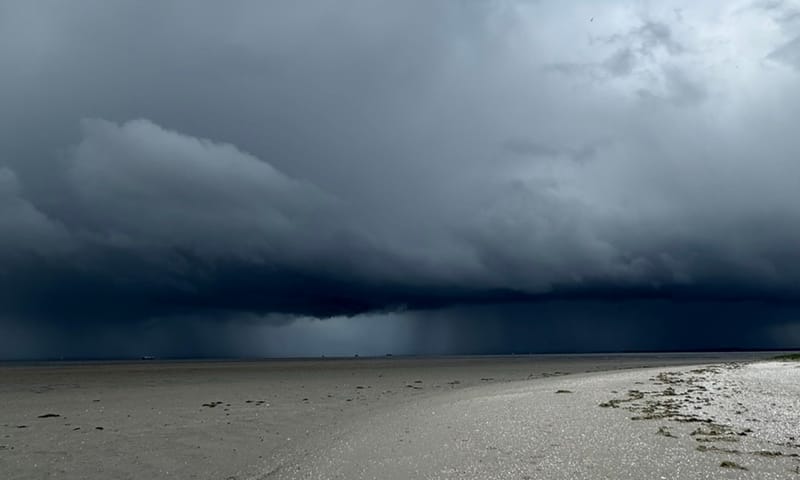Stormbui op Griend