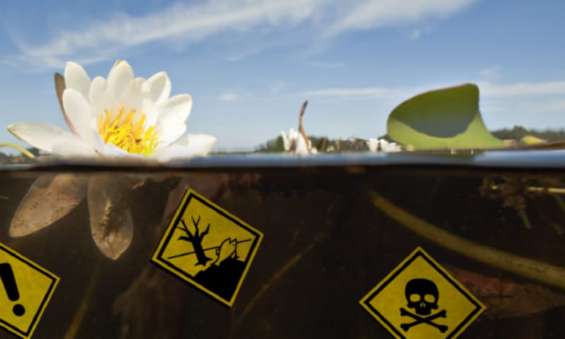 De slechte waterkwaliteit in Nederland is een ramp voor de natuur én voor ons.