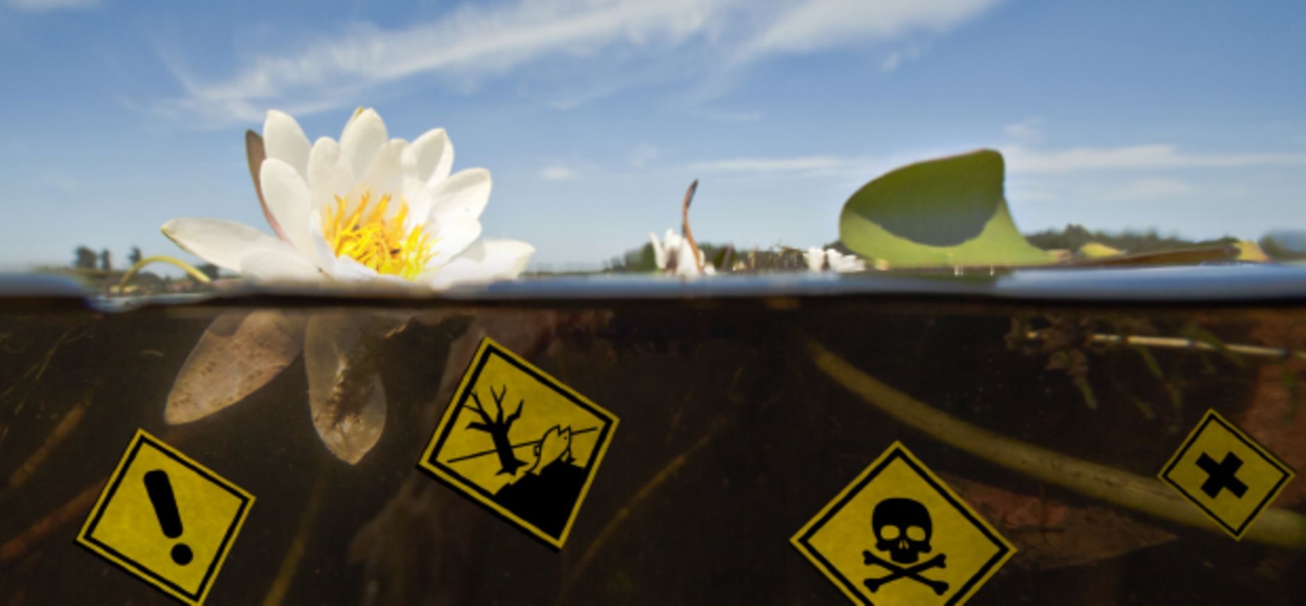 De slechte waterkwaliteit in Nederland is een ramp voor de natuur én voor ons.