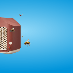 Red bijen en vlinders - insectenhotel