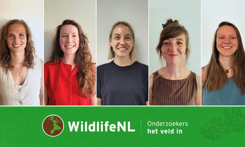 Onderzoekers WildlifeNL Onderzoekers WildlifeNL