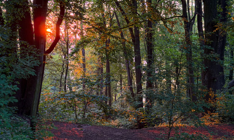 Zonsopkomst Sint-Pietersberg
