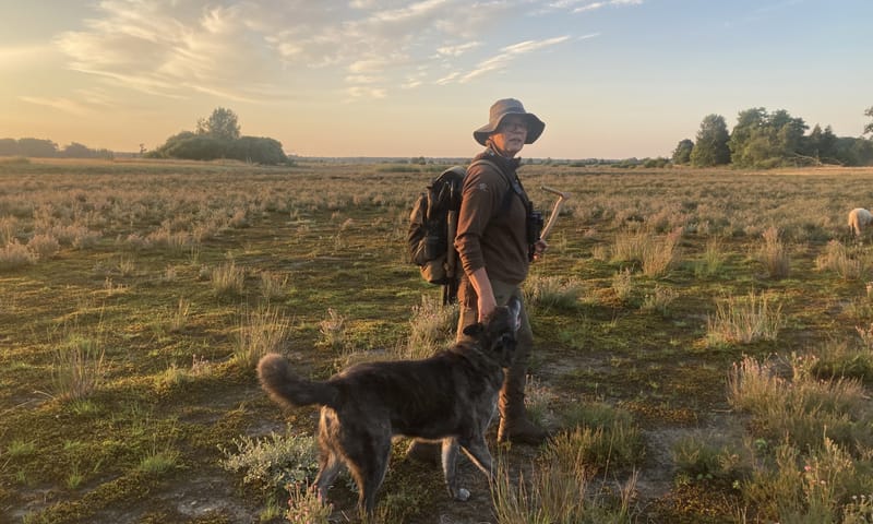 Schaapsherder Anja Prent op het Dwingelderveld