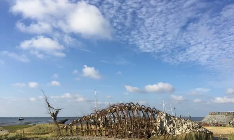 Walvis van wilgentakken