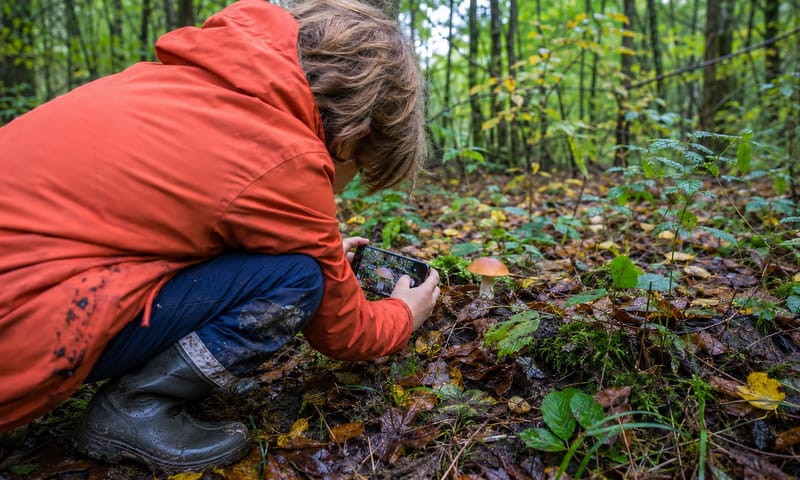 Kind fotografeert een paddenstoel laag bij de grond