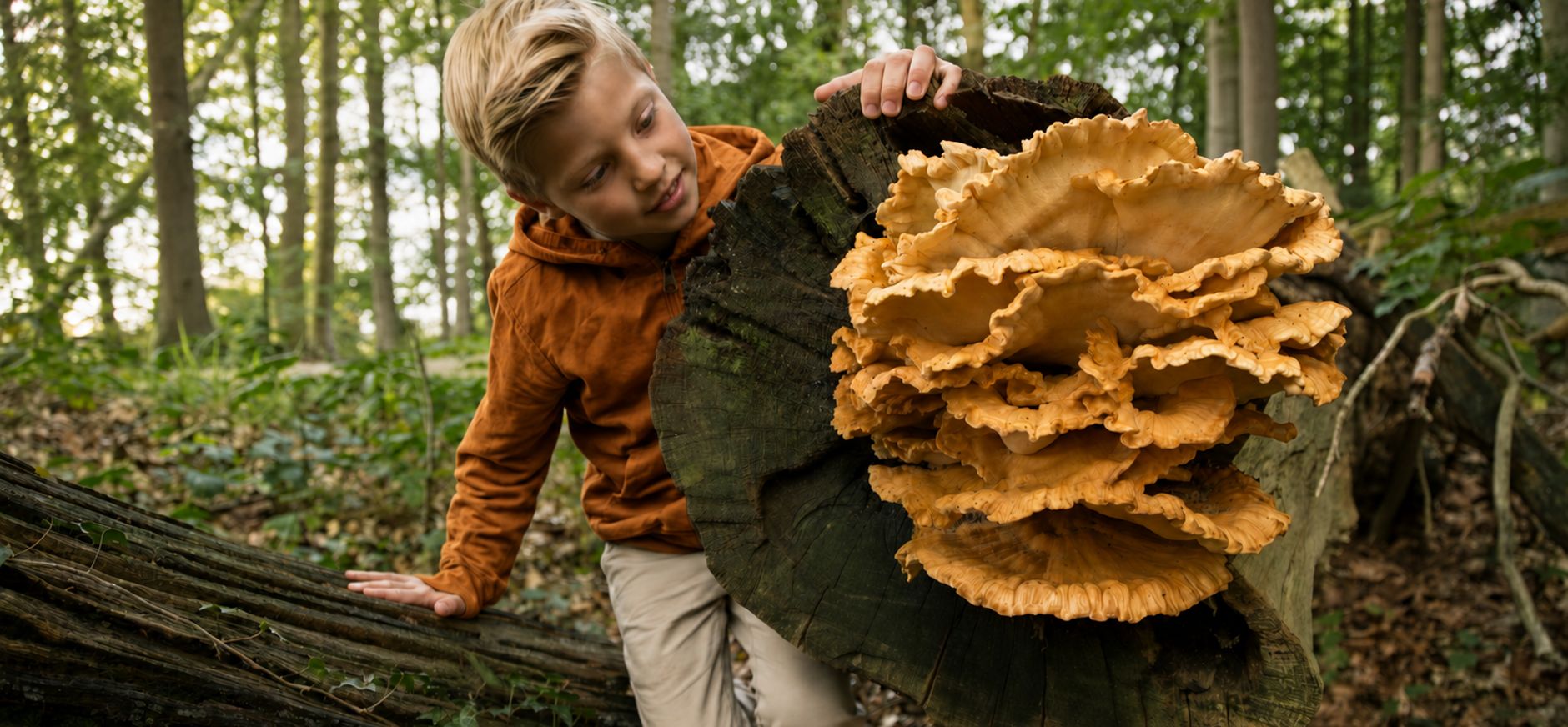 Kind in bos met grote paddenstoel