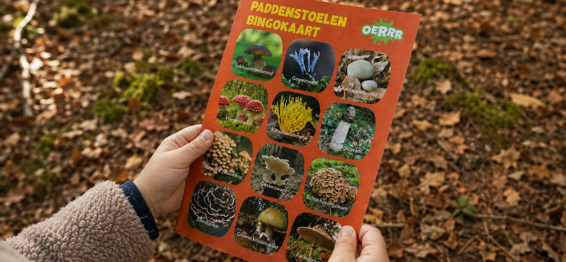 Kind met paddenstoelen bingokaart in een bos