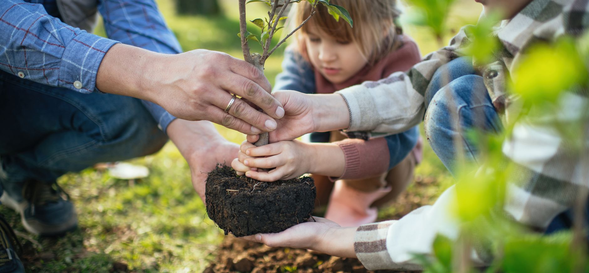 Kinderen planten samen een boom