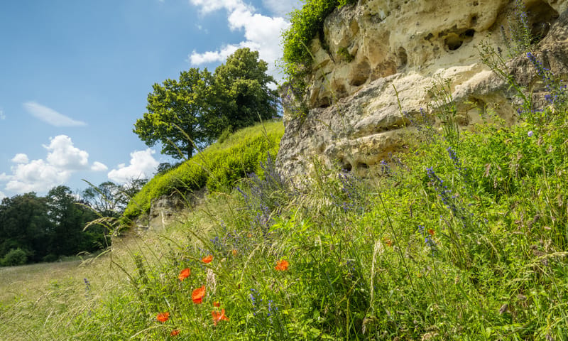 Däölkesberg Däölkesberg