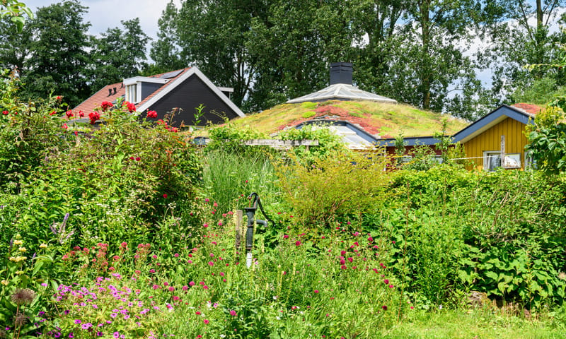 Woningen omringd door groen Woningen omringd door groen