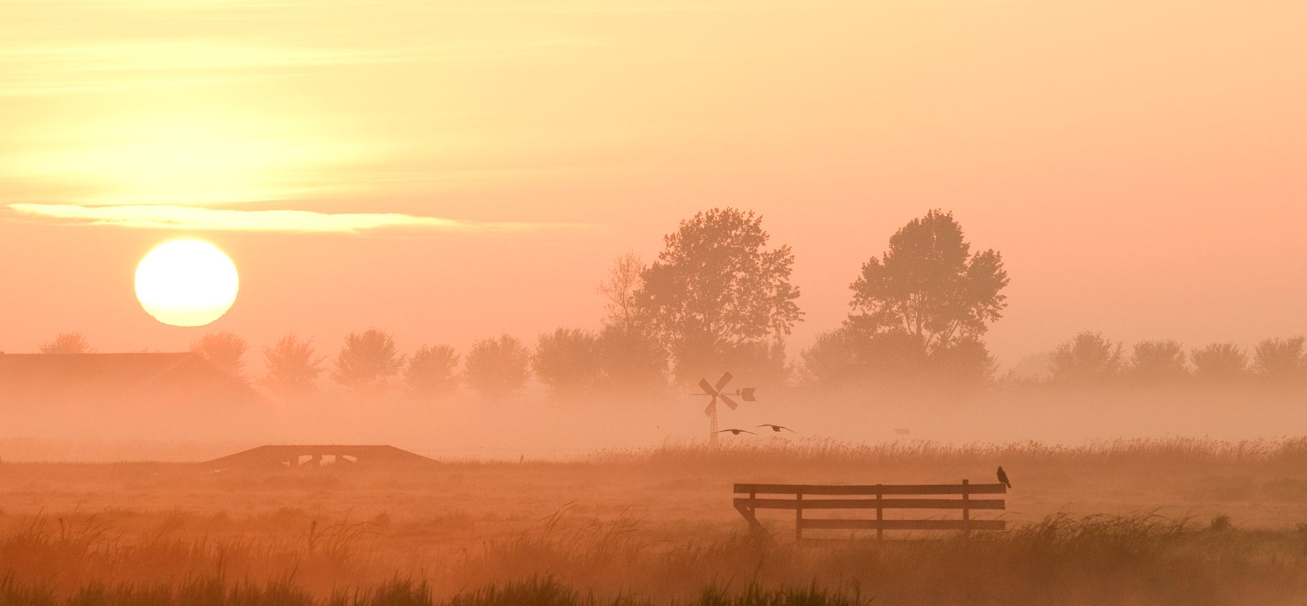 Wormer en Jisperveld bankje zonsondergang