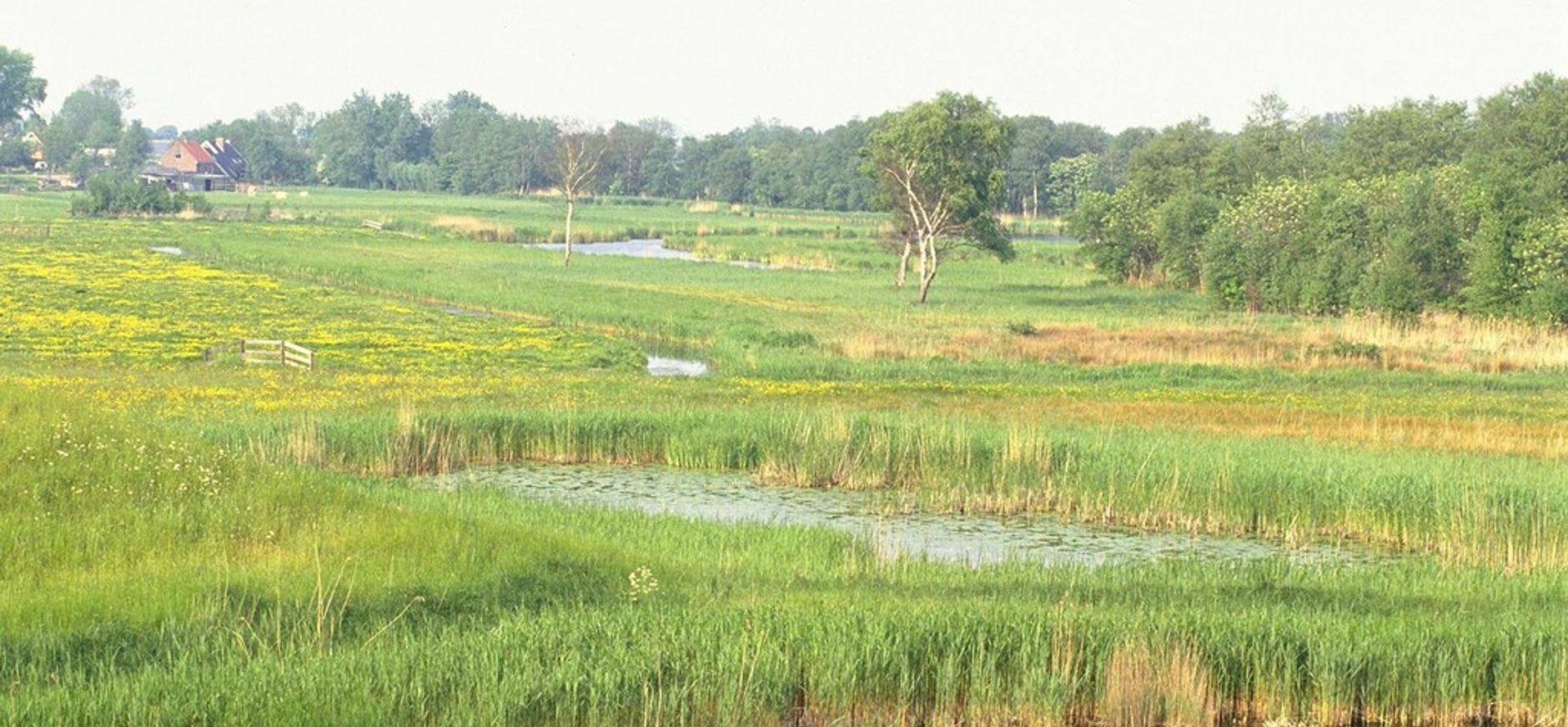 Landschap Botshol Landschap Botshol