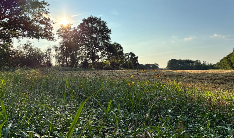 Wandelen langs weilanden op Landgoed Oldenaller