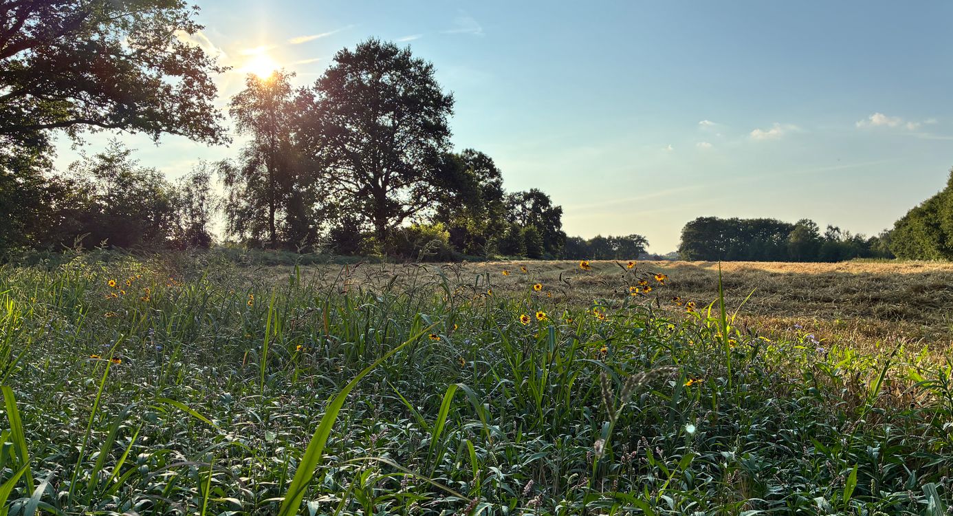 Wandelen langs weilanden op Landgoed Oldenaller