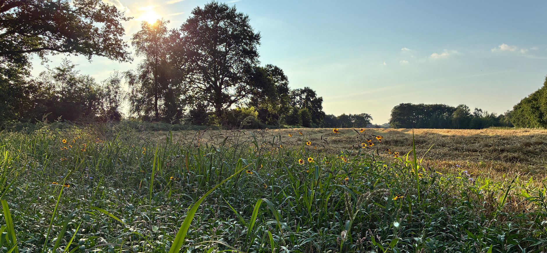 Wandelen langs weilanden op Landgoed Oldenaller