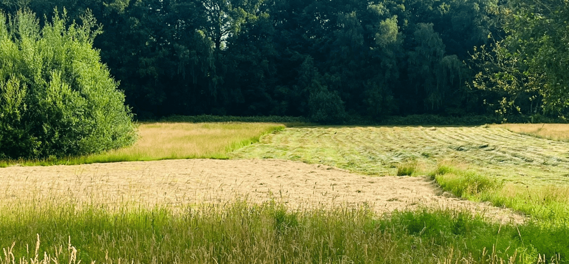 Maaien