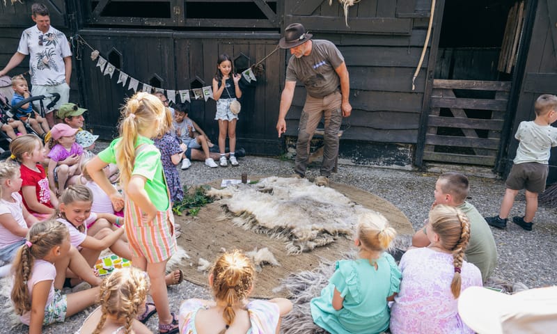 Herder Johan wijst net geknipte schapenvacht aan