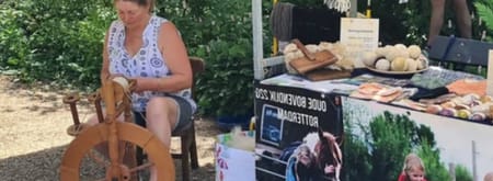 Spinnenwiel Belevenisboerderij Schieveen