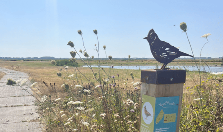 veldleeuwerik startpunt Vogelpracht