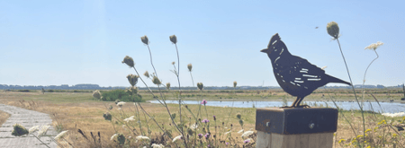 startpunt Vogelpracht 