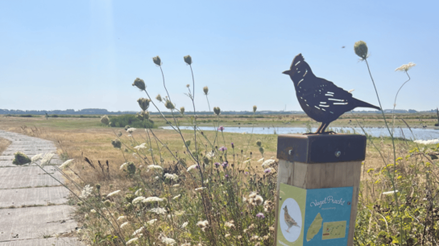 startpunt Vogelpracht 