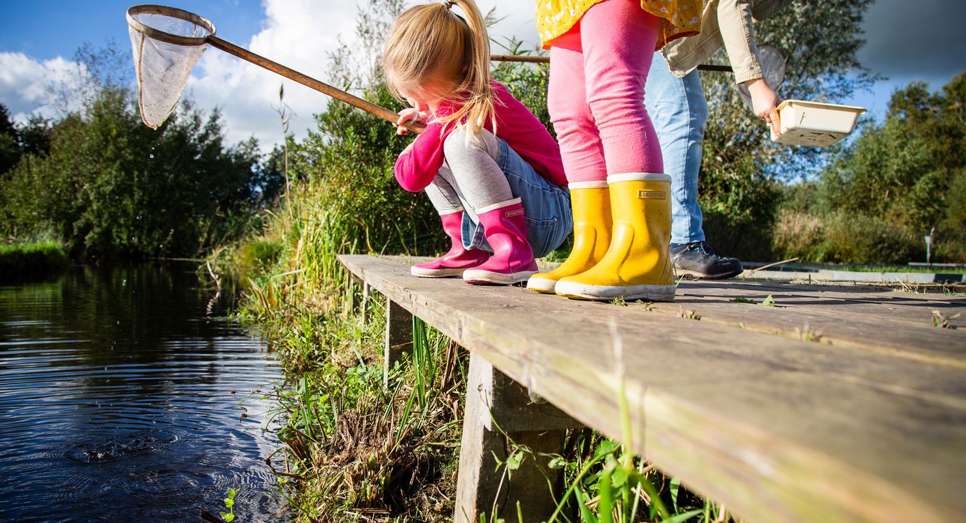 Waterdiertjes Waterdiertjes zoeken