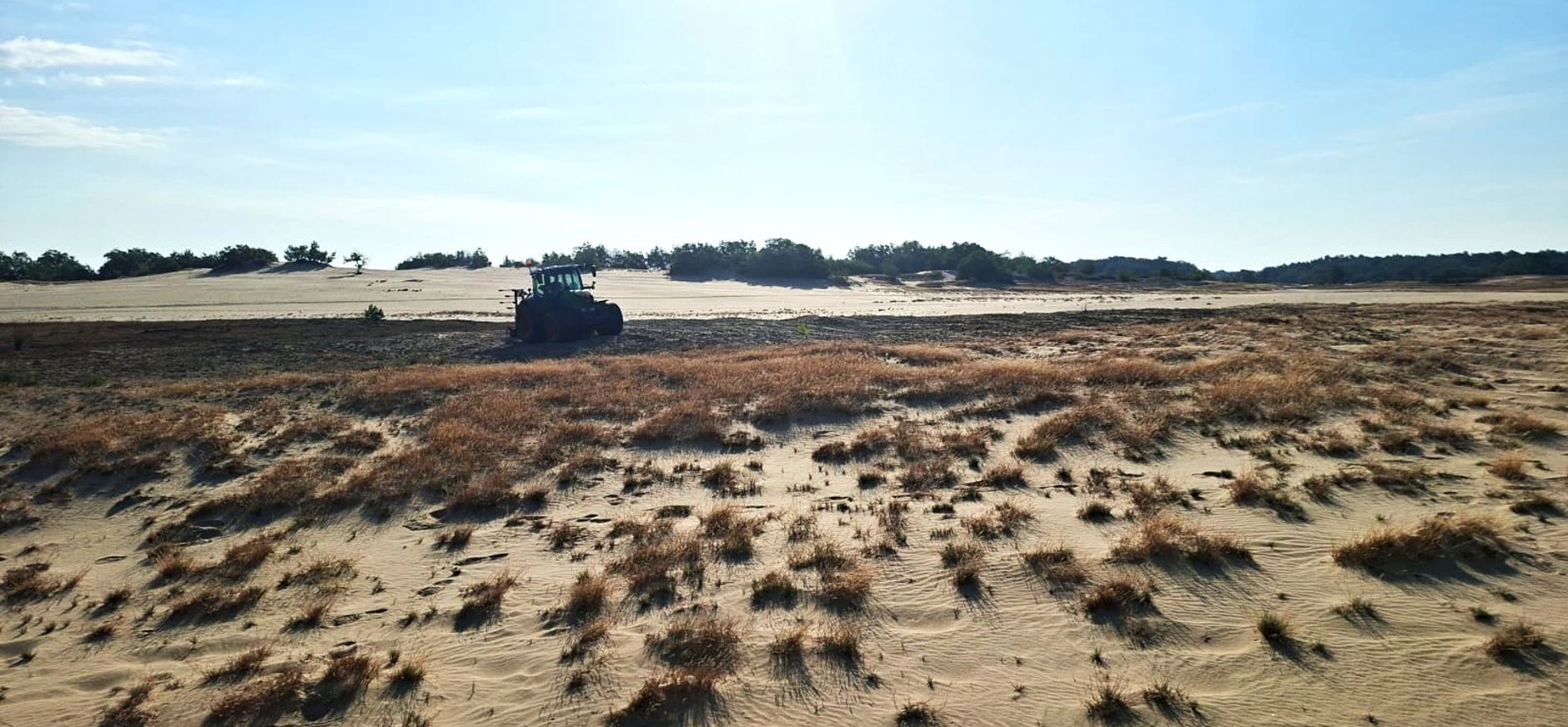 Tractor met triltandcultivator maakt bovenste laagje met begroeiing los. Tractor met triltandcultivator maakt bovenste laagje met begroeiing los.