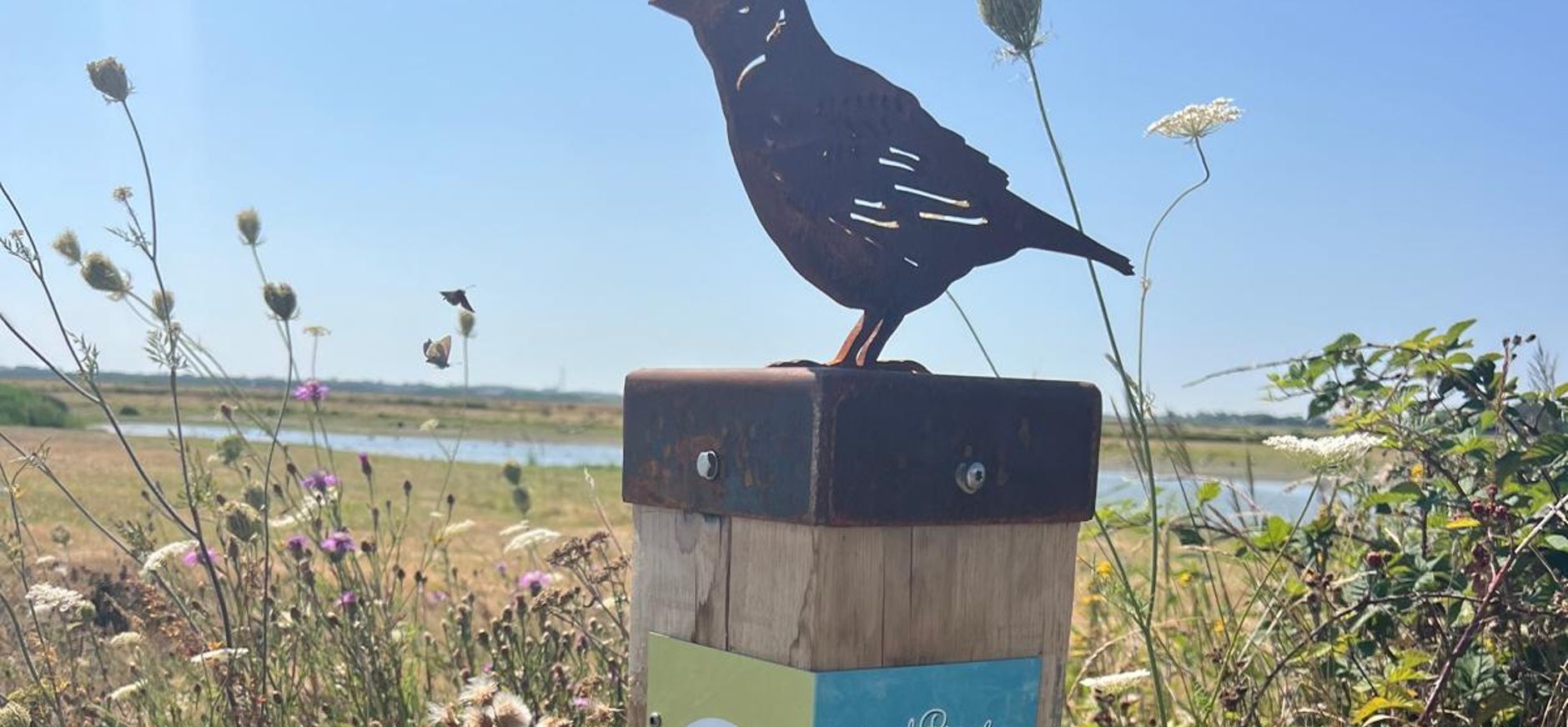 startpunt Vogelpracht 