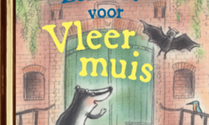 Een fort voor Vleermuis