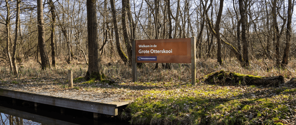 De grote otterskooi