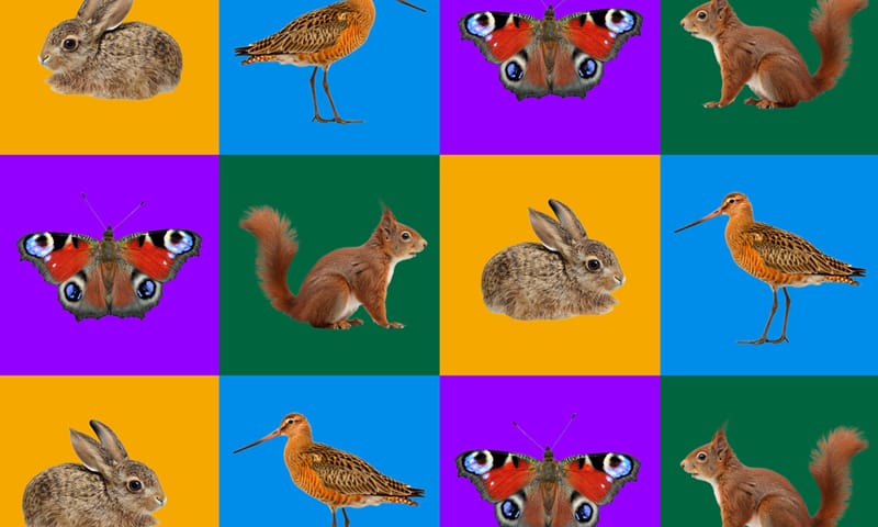 Dieren uit de knel