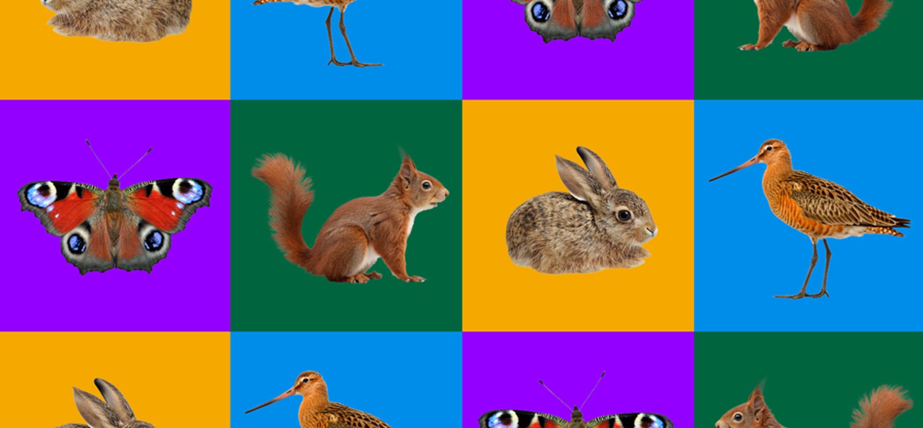 Dieren in de knel