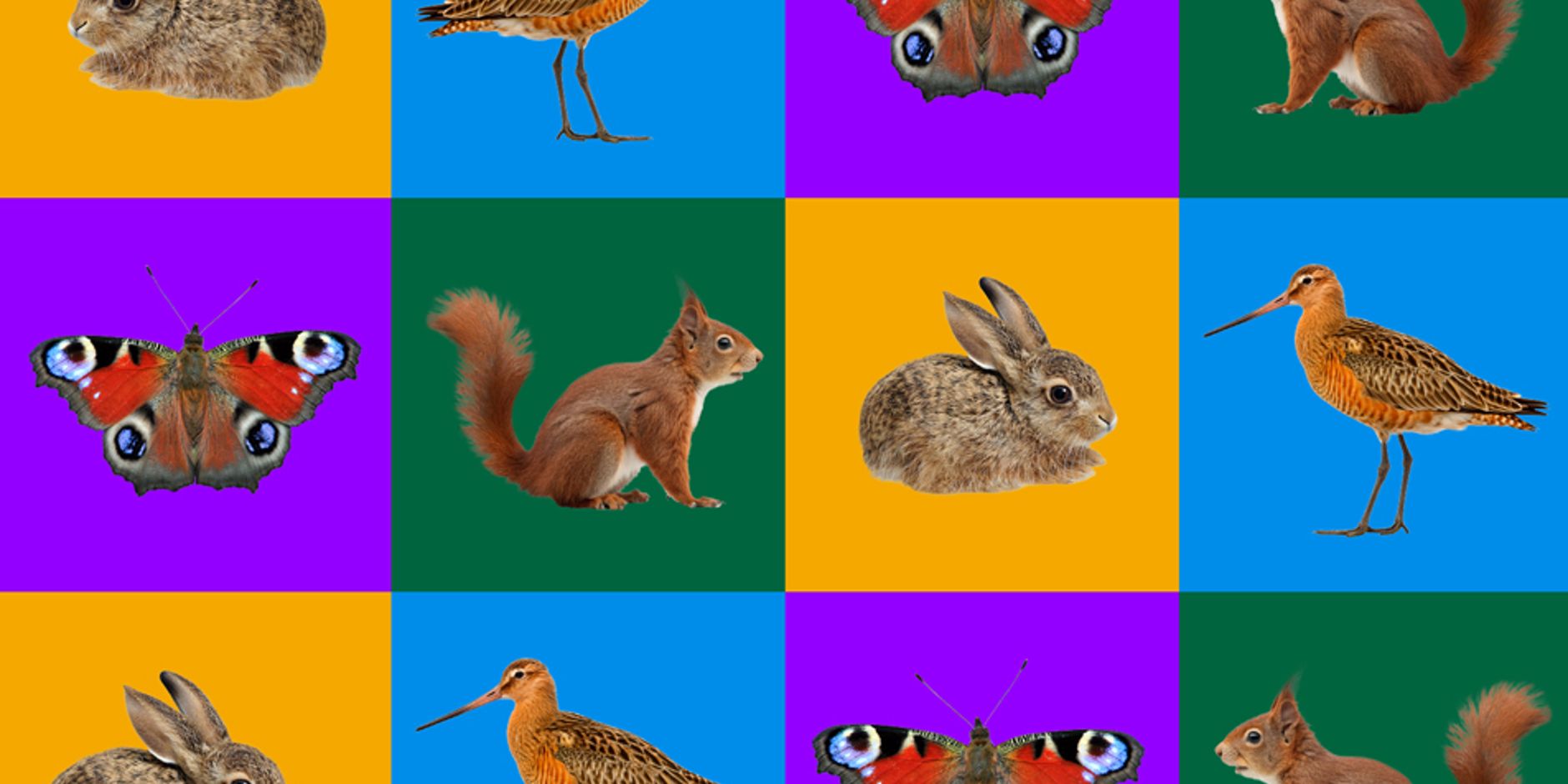Dieren uit de knel