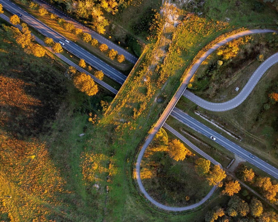 Ecoduct Maashorst