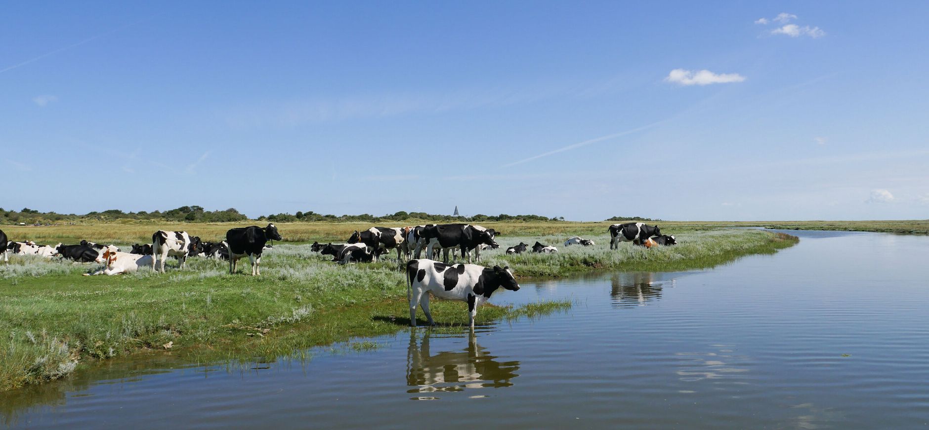 Friesland