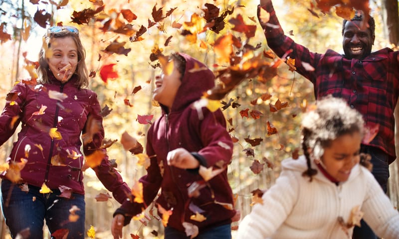 OERRR Herfstpret 's-Graveland