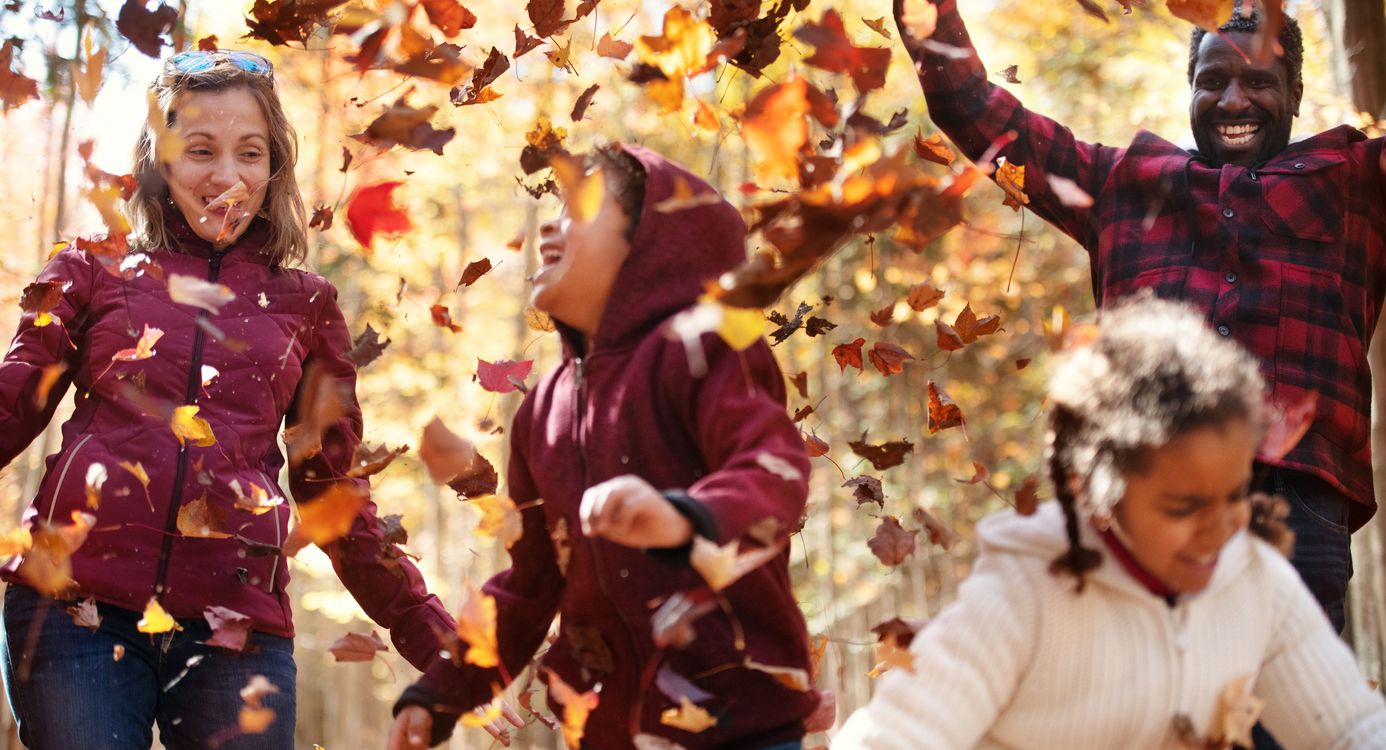 Herfstvakantie Bezoekerscentrum Gooi en Vechtstreek