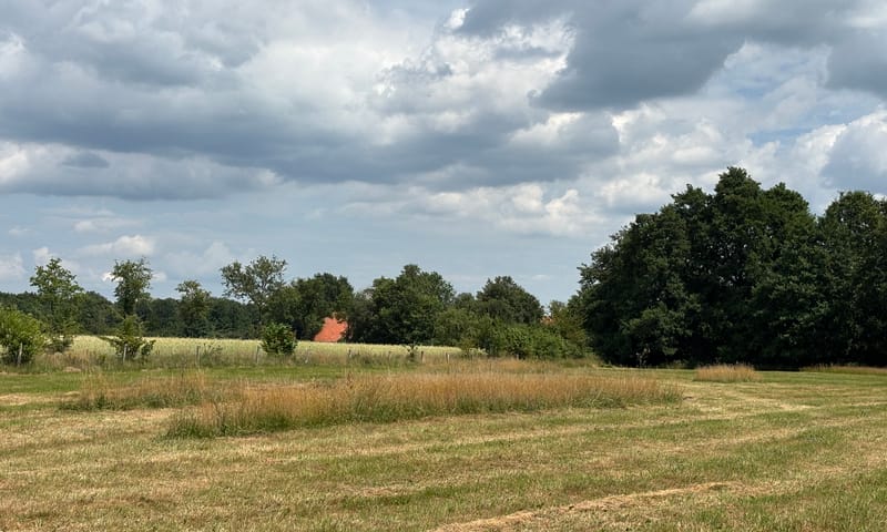 Extra maaien hooilanden