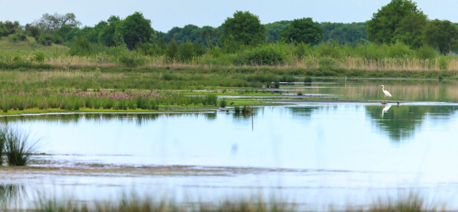 Locatie uitkijkpunt Kettingdijk