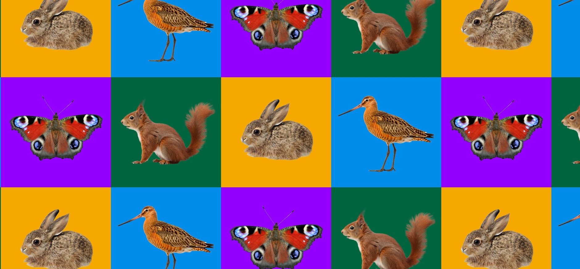 Dieren uit de knel