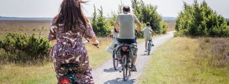 Gezin fietst over de heide