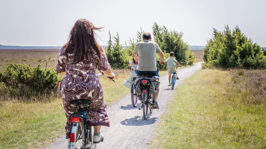 Gezin fietst over de heide