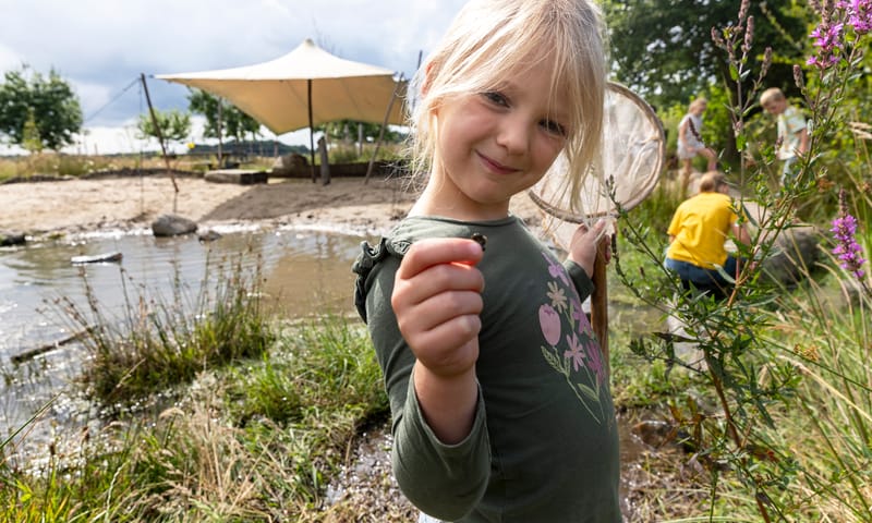Waterbeestjes zoeken