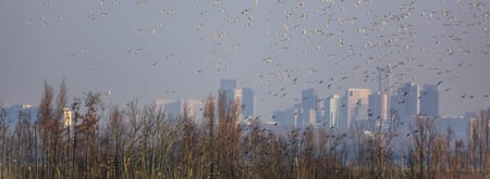 Ackerdijkse Plassen in de herfst