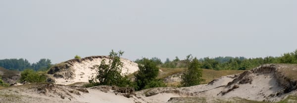 Zeepeduinen