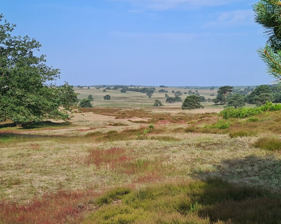 Beeld van de Veluwe