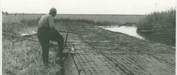 Turfsteken in het laagveen Turfsteken in het laagveen