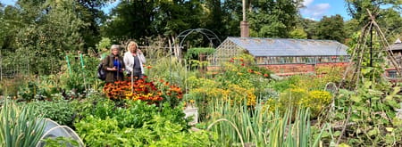Moestuin Landgoed Mookerheide